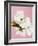 White cherry blossoms-Ada Summer-Framed Photographic Print