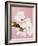 White cherry blossoms-Ada Summer-Framed Photographic Print