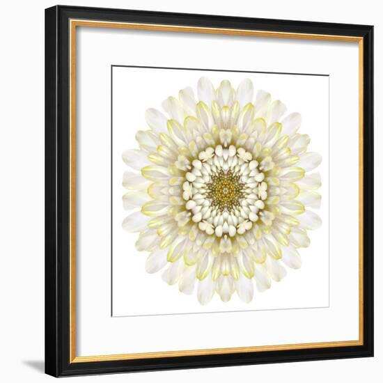 White Chrysathemum Mandala Flower Kaleidoscopic-tr3gi-Framed Premium Giclee Print