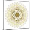 White Chrysathemum Mandala Flower Kaleidoscopic-tr3gi-Mounted Art Print