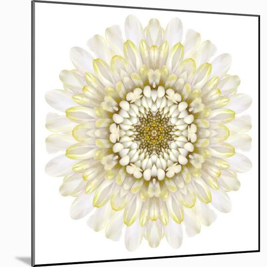 White Chrysathemum Mandala Flower Kaleidoscopic-tr3gi-Mounted Art Print