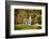 White Church And Red Covered Bridge-George Oze-Framed Photographic Print