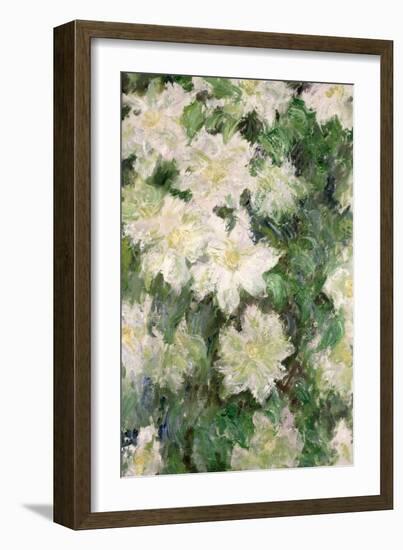 White Clematis, 1887-Claude Monet-Framed Giclee Print