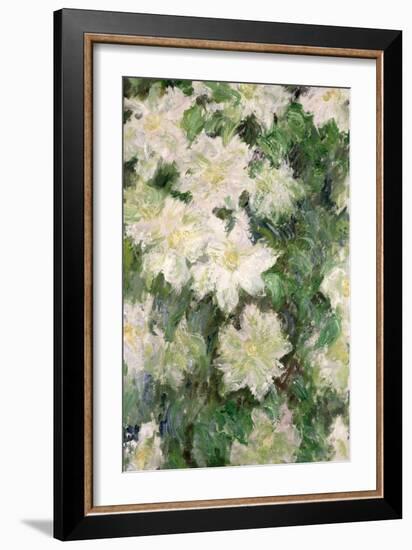 White Clematis, 1887-Claude Monet-Framed Giclee Print