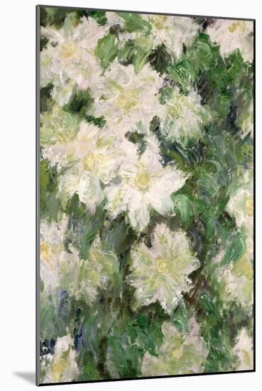 White Clematis, 1887-Claude Monet-Mounted Giclee Print