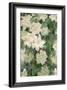 White Clematis, 1887-Claude Monet-Framed Giclee Print