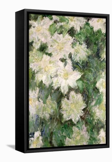 White Clematis, 1887-Claude Monet-Framed Premier Image Canvas