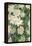 White Clematis, 1887-Claude Monet-Framed Premier Image Canvas