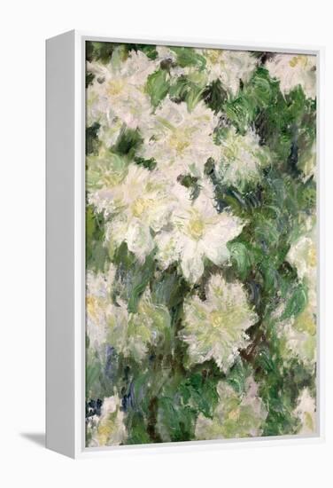 White Clematis, 1887-Claude Monet-Framed Premier Image Canvas