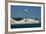 White Cliffs Of Dover England II-Charles Bowman-Framed Photographic Print