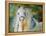 White Cloud the Andlusian Stallion-Marcia Baldwin-Framed Stretched Canvas