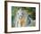 White Cloud the Andlusian Stallion-Marcia Baldwin-Framed Premium Giclee Print