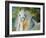 White Cloud the Andlusian Stallion-Marcia Baldwin-Framed Premium Giclee Print