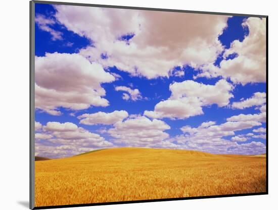 White Clouds Over Wheat Field-Darrell Gulin-Mounted Photographic Print