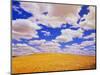 White Clouds Over Wheat Field-Darrell Gulin-Mounted Photographic Print