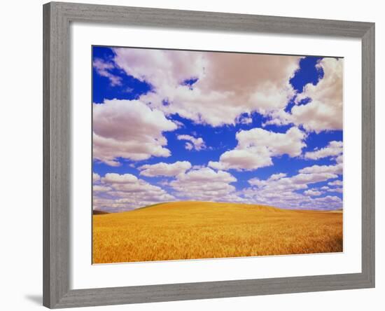 White Clouds Over Wheat Field-Darrell Gulin-Framed Photographic Print