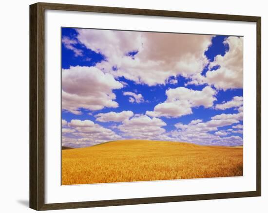 White Clouds Over Wheat Field-Darrell Gulin-Framed Photographic Print