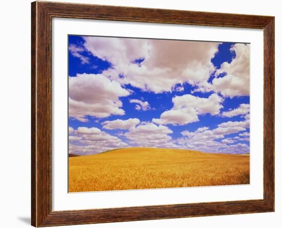 White Clouds Over Wheat Field-Darrell Gulin-Framed Photographic Print