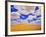 White Clouds Over Wheat Field-Darrell Gulin-Framed Photographic Print