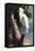 White Coastal Egret-Vivienne Dupont-Framed Stretched Canvas