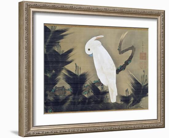 White Cockatoo on a Pine Branch-Ito Jakuchu-Framed Giclee Print