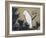 White Cockatoo on a Pine Branch-Ito Jakuchu-Framed Giclee Print