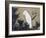 White Cockatoo on a Pine Branch-Ito Jakuchu-Framed Giclee Print