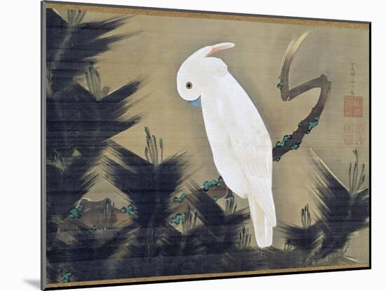 White Cockatoo on a Pine Branch-Ito Jakuchu-Mounted Giclee Print