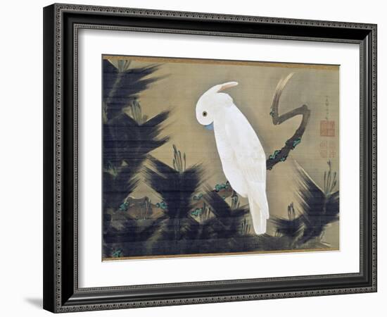 White Cockatoo on a Pine Branch-Ito Jakuchu-Framed Giclee Print