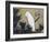 White Cockatoo on a Pine Branch-Ito Jakuchu-Framed Giclee Print