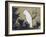 White Cockatoo on a Pine Branch-Ito Jakuchu-Framed Giclee Print