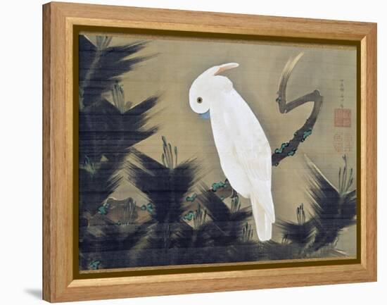 White Cockatoo on a Pine Branch-Ito Jakuchu-Framed Premier Image Canvas