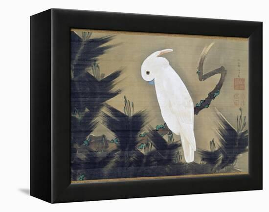 White Cockatoo on a Pine Branch-Ito Jakuchu-Framed Premier Image Canvas