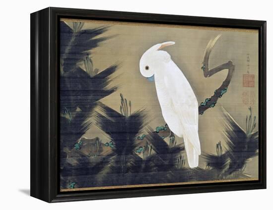 White Cockatoo on a Pine Branch-Ito Jakuchu-Framed Premier Image Canvas