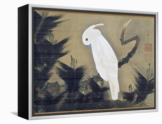 White Cockatoo on a Pine Branch-Ito Jakuchu-Framed Premier Image Canvas