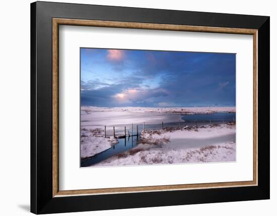 White Cold-Philippe Sainte-Laudy-Framed Photographic Print