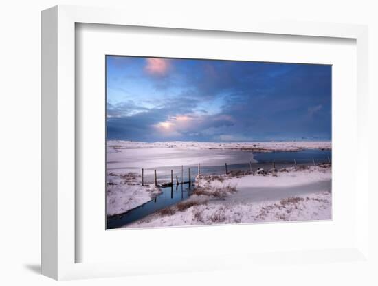 White Cold-Philippe Sainte-Laudy-Framed Photographic Print