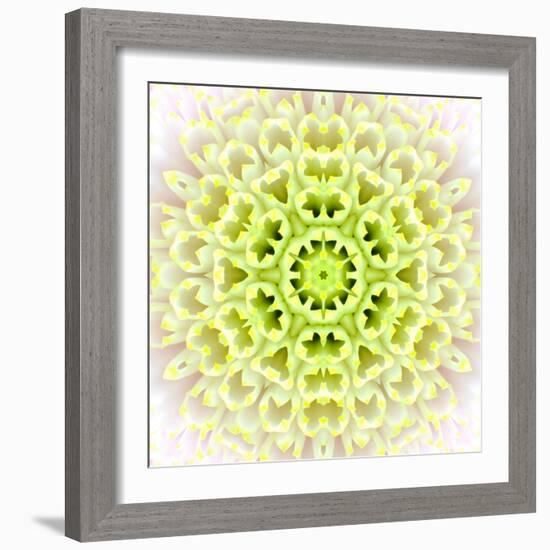 White Concentric Flower Center: Mandala Kaleidoscopic Design-tr3gi-Framed Art Print