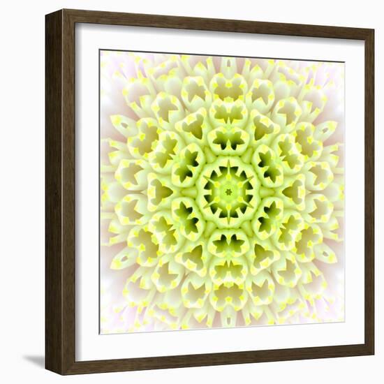 White Concentric Flower Center: Mandala Kaleidoscopic Design-tr3gi-Framed Art Print