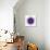 White Concentric Flower Center: Mandala Kaleidoscopic-tr3gi-Premium Giclee Print displayed on a wall