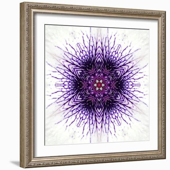 White Concentric Flower Center: Mandala Kaleidoscopic-tr3gi-Framed Art Print