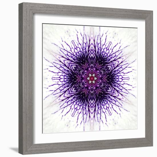 White Concentric Flower Center: Mandala Kaleidoscopic-tr3gi-Framed Art Print