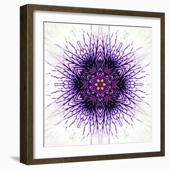 White Concentric Flower Center: Mandala Kaleidoscopic-tr3gi-Framed Art Print