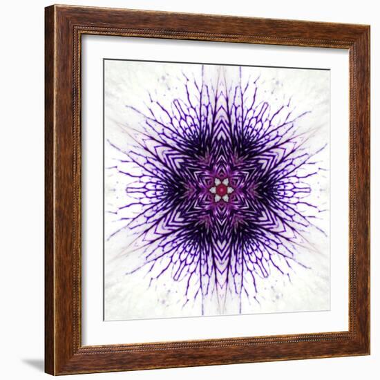 White Concentric Flower Center: Mandala Kaleidoscopic-tr3gi-Framed Art Print