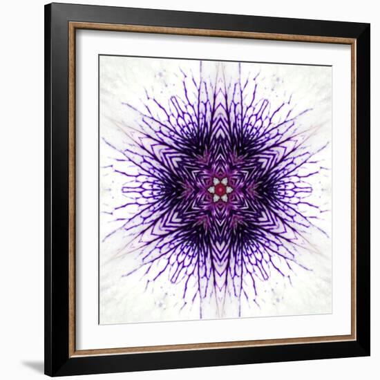 White Concentric Flower Center: Mandala Kaleidoscopic-tr3gi-Framed Art Print