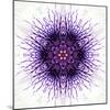 White Concentric Flower Center: Mandala Kaleidoscopic-tr3gi-Mounted Art Print