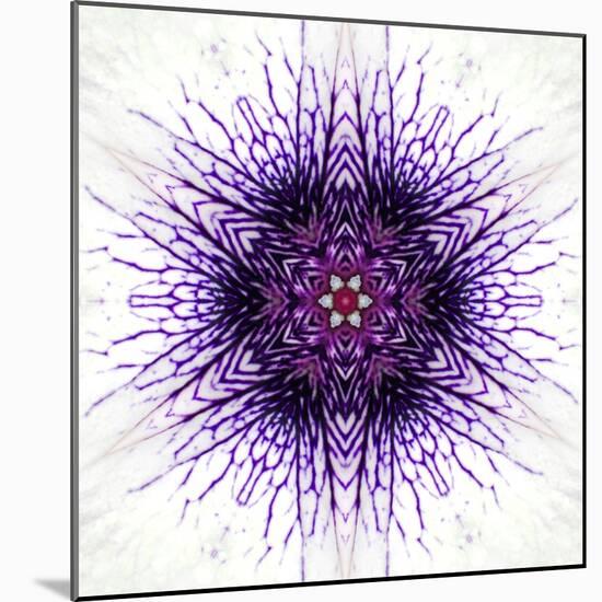 White Concentric Flower Center: Mandala Kaleidoscopic-tr3gi-Mounted Art Print