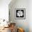 White Cosmos 3-Magda Indigo-Framed Photographic Print displayed on a wall