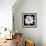White Cosmos 3-Magda Indigo-Framed Photographic Print displayed on a wall