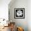 White Cosmos 3-Magda Indigo-Framed Photographic Print displayed on a wall